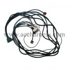  Engine wire harness (ACE0115-48) 